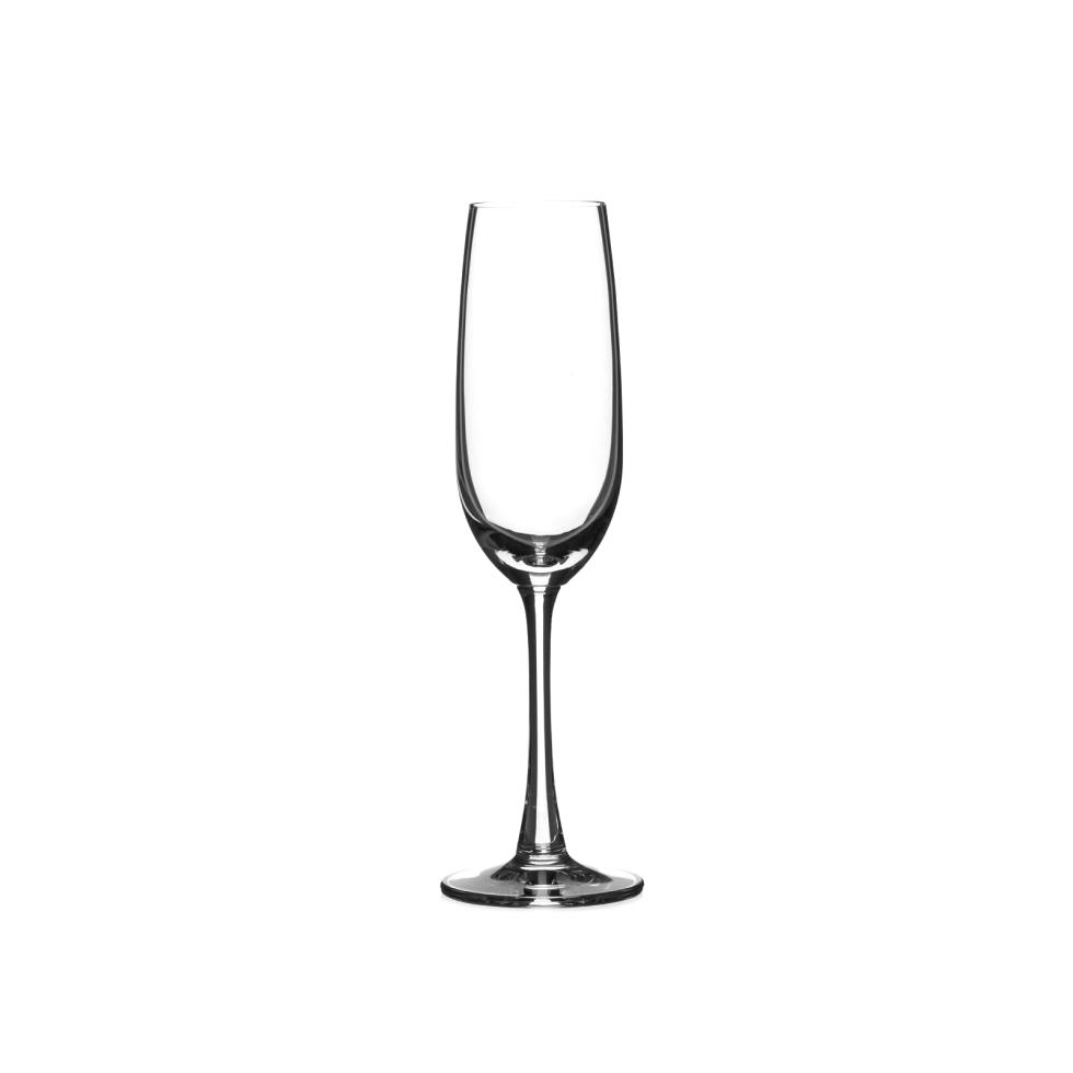 classico-champagne-glass-7-oz-